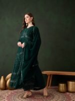Elegant Green Embroidered Anarkali Gown with V Neck & Lace Dupatta